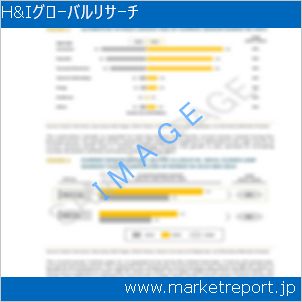 市場と産業調査レポートのイメージ